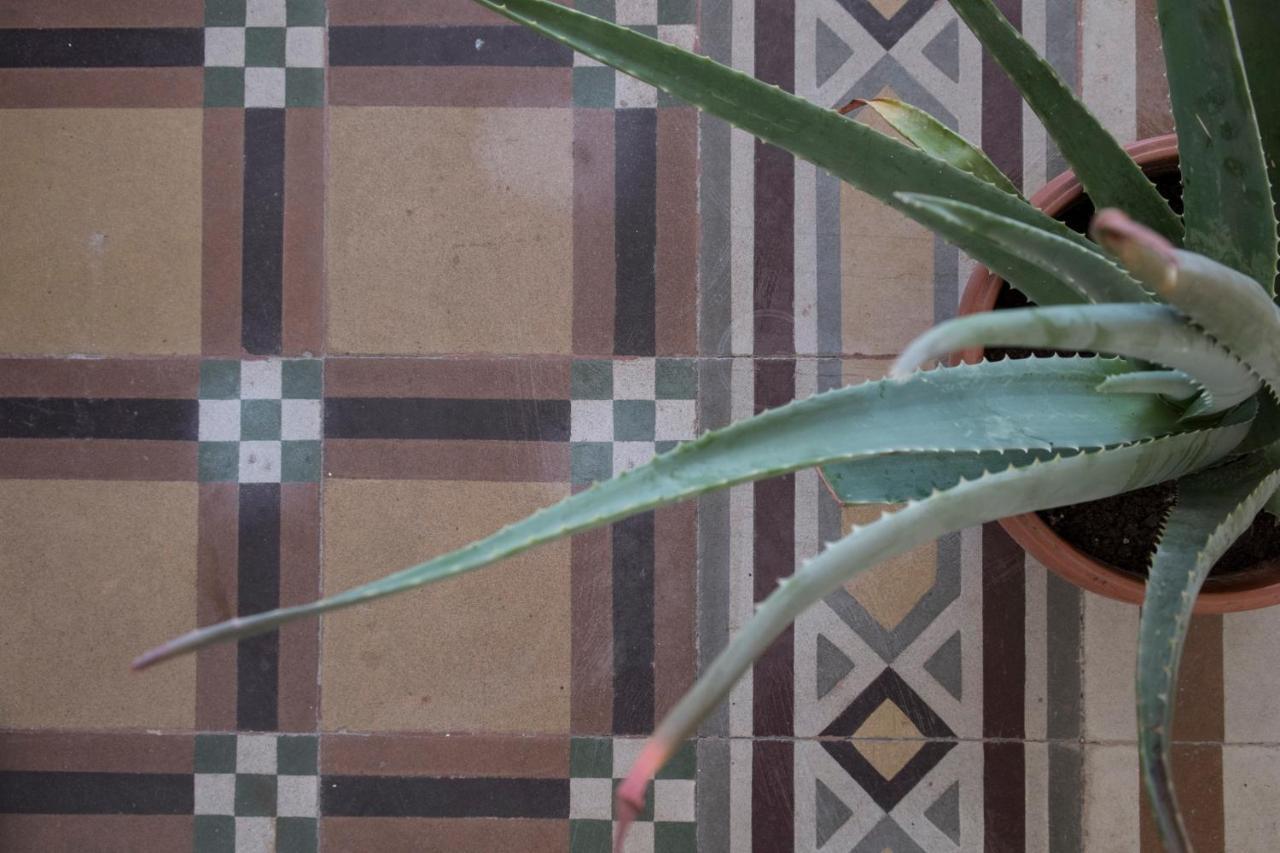 Nou La Tua Casa In Puglia Appartement Alberobello Buitenkant foto